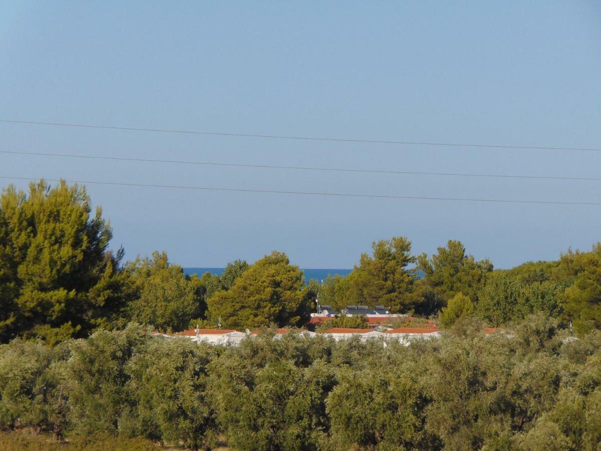Villa Antonio Calderisi Vieste Bagian luar foto